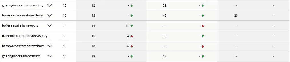 Additional keyword rankings data