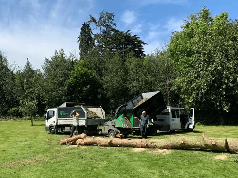 Hertfordshire Trees, what BUILT delivered