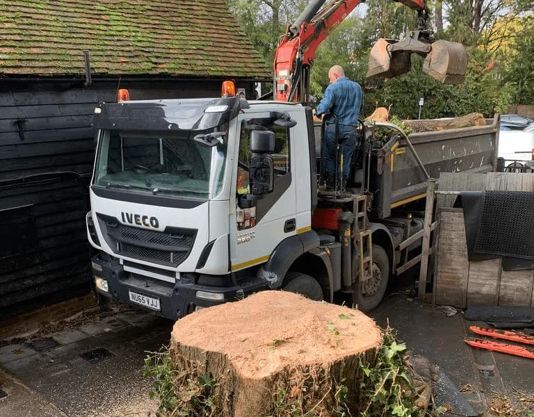 Hertfordshire Trees before BUILT